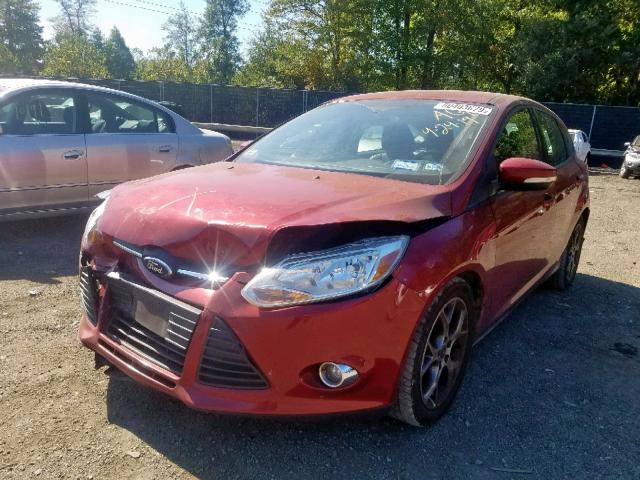 1FADP3K28DL260606 - 2013 FORD FOCUS SE RED photo 2