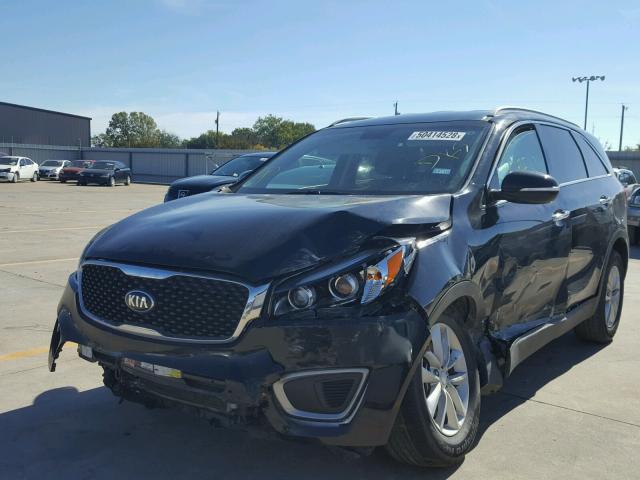 5XYPG4A50GG142476 - 2016 KIA SORENTO LX BLACK photo 2