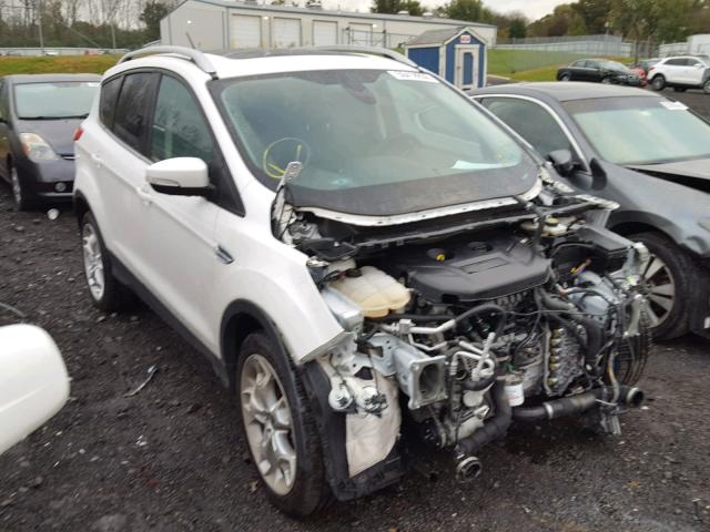 1FMCU9J93FUB23811 - 2015 FORD ESCAPE TIT WHITE photo 1