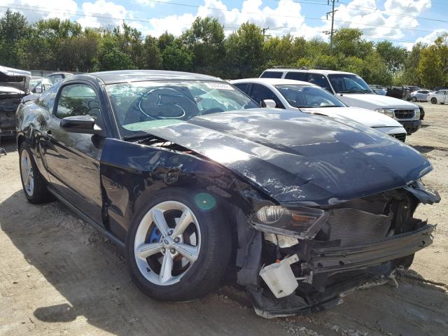 1ZVBP8CH0A5158490 - 2010 FORD MUSTANG GT BLACK photo 1