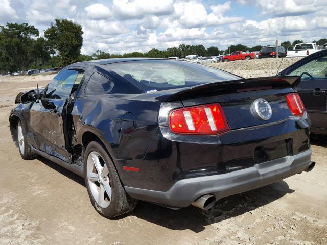 1ZVBP8CH0A5158490 - 2010 FORD MUSTANG GT BLACK photo 3