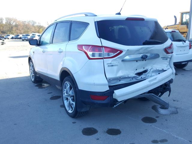 1FMCU9J97EUD43953 - 2014 FORD ESCAPE TIT WHITE photo 3