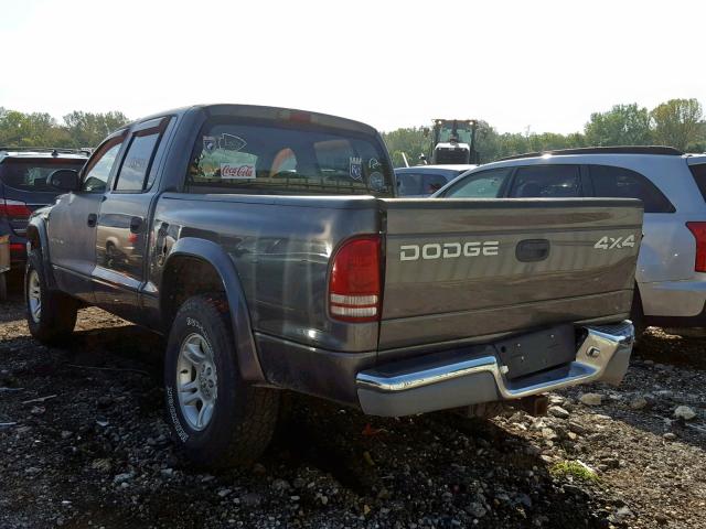 1B7HG48N02S590732 - 2002 DODGE DAKOTA QUA GRAY photo 3