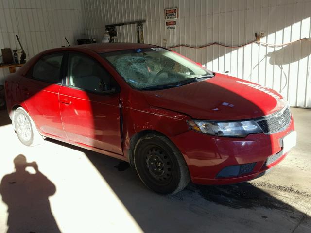 KNAFU4A24D5728240 - 2013 KIA FORTE EX RED photo 1