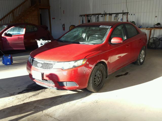 KNAFU4A24D5728240 - 2013 KIA FORTE EX RED photo 2