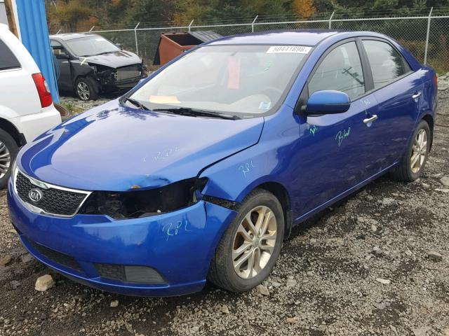 KNAFU4A29C5631291 - 2012 KIA FORTE EX BLUE photo 2