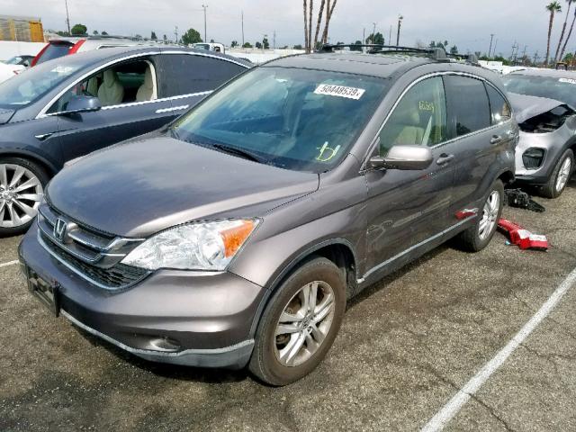 5J6RE4H77AL007815 - 2010 HONDA CR-V EXL GRAY photo 2