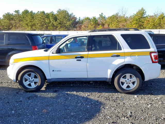 1FMCU5K39AKC13083 - 2010 FORD ESCAPE HYB WHITE photo 10