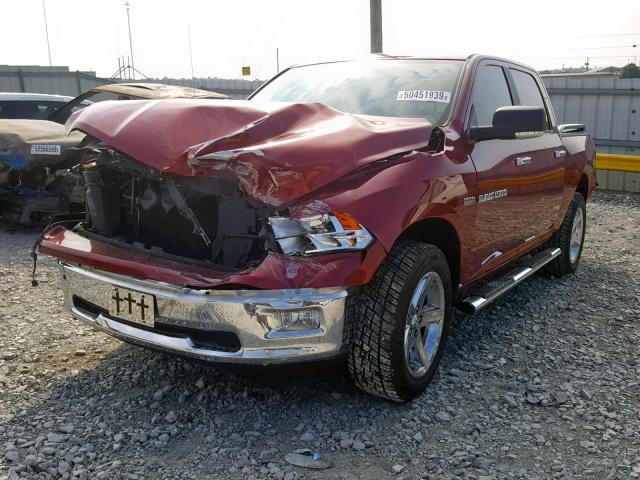 1C6RD7LT8CS161089 - 2012 DODGE RAM 1500 S MAROON photo 2