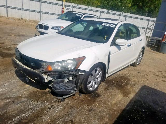 1HGCP3F8XAA004805 - 2010 HONDA ACCORD EXL WHITE photo 2