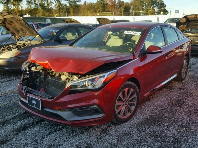 5NPE34AF6GH339298 - 2016 HYUNDAI SONATA SPO RED photo 2