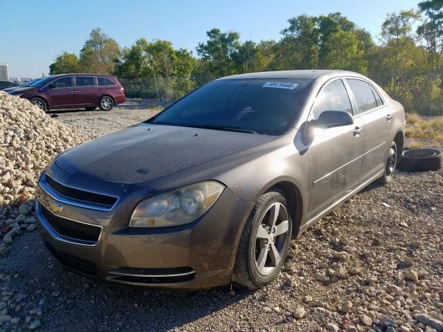 1G1Z5EU9CF117660 - 2012 CHEVROLET MALIBU 1LT BROWN photo 2