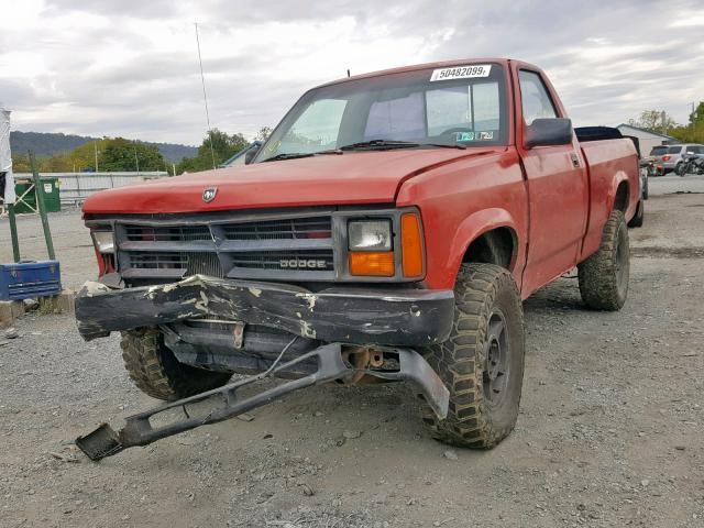 1B7GG66X2KS036572 - 1989 DODGE DAKOTA SPO RED photo 2