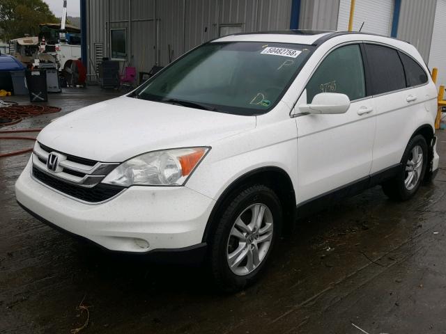 5J6RE3H70AL015216 - 2010 HONDA CR-V EXL WHITE photo 2