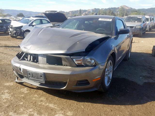 1ZVBP8AN4A5162938 - 2010 FORD MUSTANG CHARCOAL photo 2