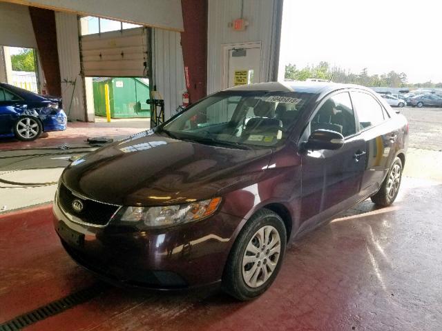 KNAFU4A21A5140324 - 2010 KIA FORTE EX MAROON photo 2