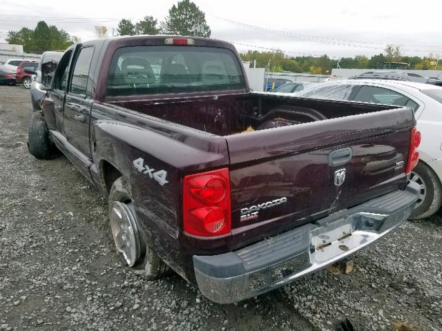 1D7HW48N35S166619 - 2005 DODGE DAKOTA QUA BURGUNDY photo 3