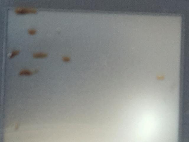 ZACCJAAB9JPG85725 - 2018 JEEP RENEGADE S 黑色 照片 8