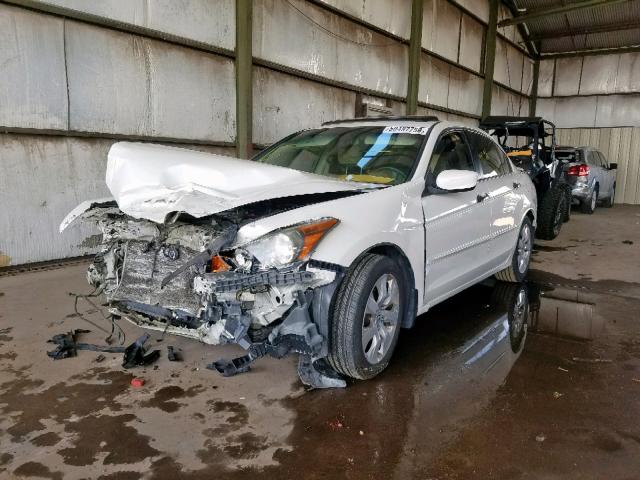 1HGCP368X8A076937 - 2008 HONDA ACCORD EXL WHITE photo 2