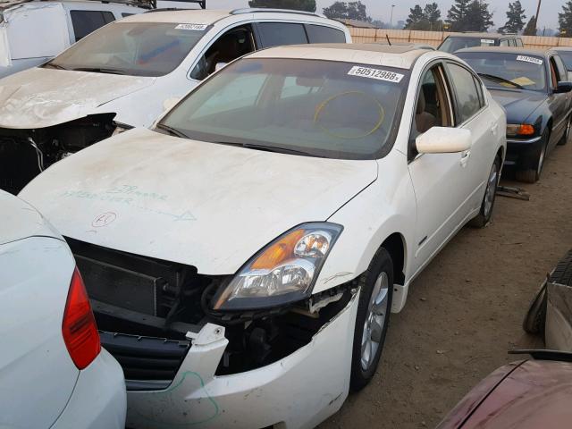 1N4CL21EX9C116446 - 2009 NISSAN ALTIMA HYB WHITE photo 2