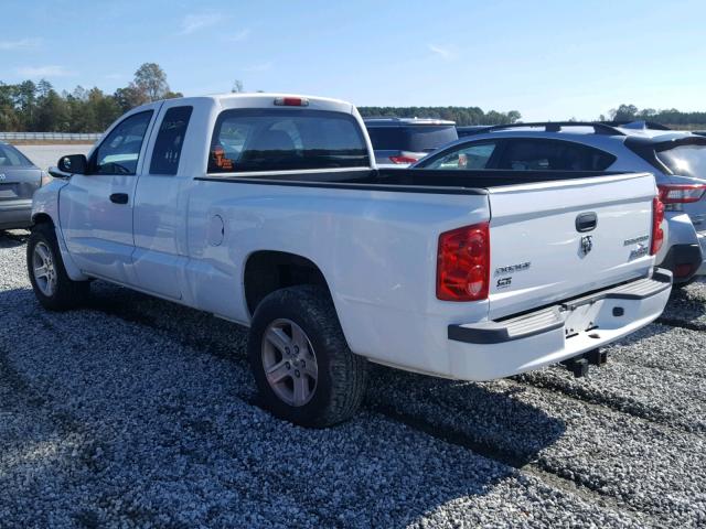 1D7CE3BK5AS151071 - 2010 DODGE DAKOTA SXT WHITE photo 3