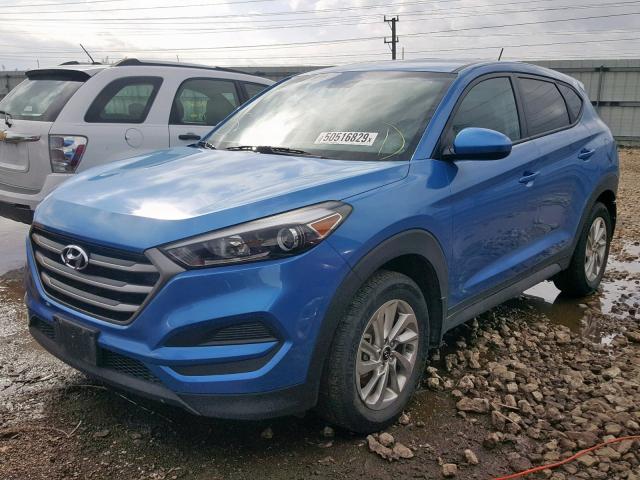 KM8J23A47GU039779 - 2016 HYUNDAI TUCSON SE BLUE photo 2