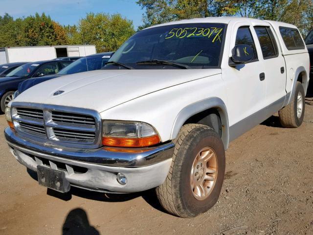 1B7HG2AN71S260468 - 2001 DODGE DAKOTA QUA WHITE photo 2