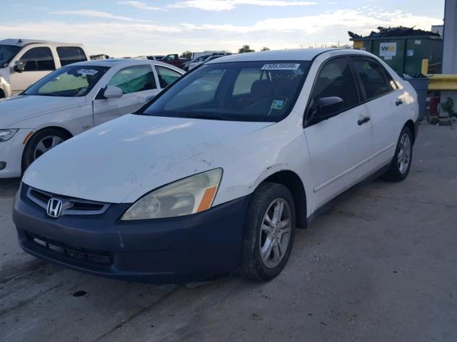 1HGCM55174A048550 - 2004 HONDA ACCORD DX WHITE photo 2