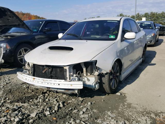 JF1GE75618G501929 - 2008 SUBARU IMPREZA WR WHITE photo 2