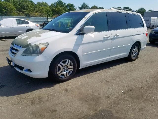 5FNRL38435B109603 - 2005 HONDA ODYSSEY EX WHITE photo 2