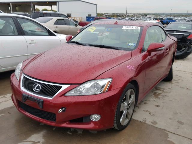 JTHFF2C26A2509483 - 2010 LEXUS IS 250 RED photo 2