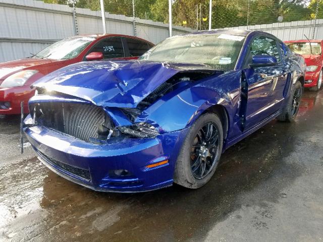 1ZVBP8AM4D5273534 - 2013 FORD MUSTANG BLUE photo 2