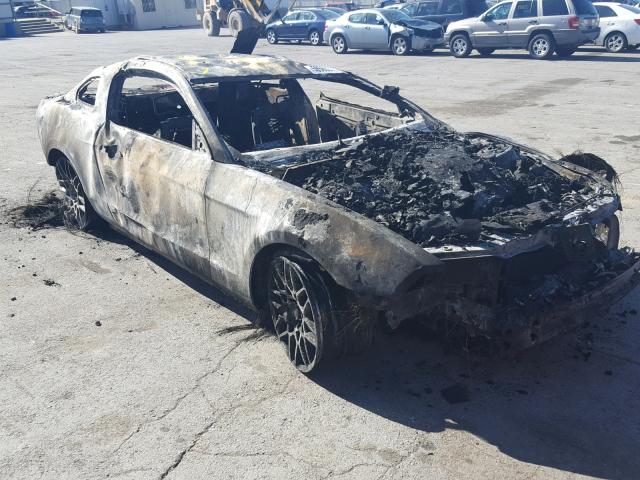 1ZVBP8JZ7D5264449 - 2013 FORD MUSTANG SH BURN photo 1