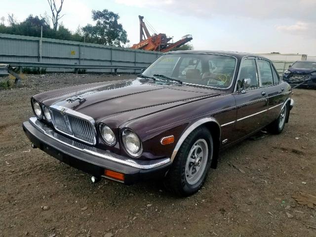 SAJAV1341DC362936 - 1983 JAGUAR XJ6 BURGUNDY photo 2