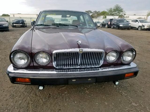 SAJAV1341DC362936 - 1983 JAGUAR XJ6 BURGUNDY photo 9