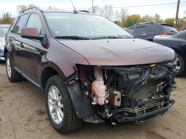 2FMDK3JC3ABA22091 - 2010 FORD EDGE SEL BROWN photo 1