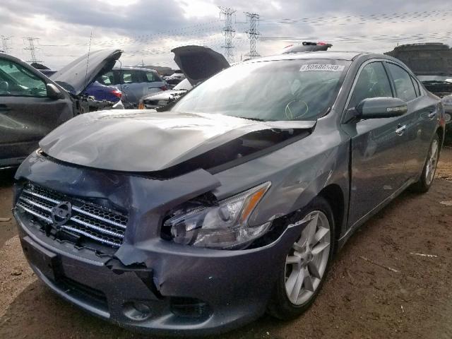 1N4AA5AP7AC871316 - 2010 NISSAN MAXIMA S BLUE photo 2