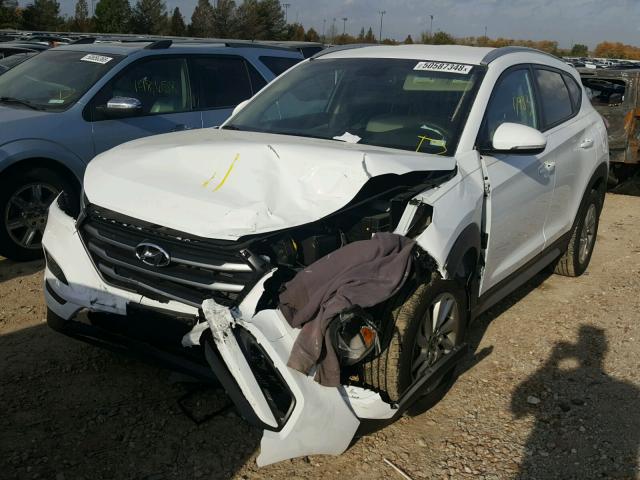 KM8J33A44HU534309 - 2017 HYUNDAI TUCSON LIM WHITE photo 2