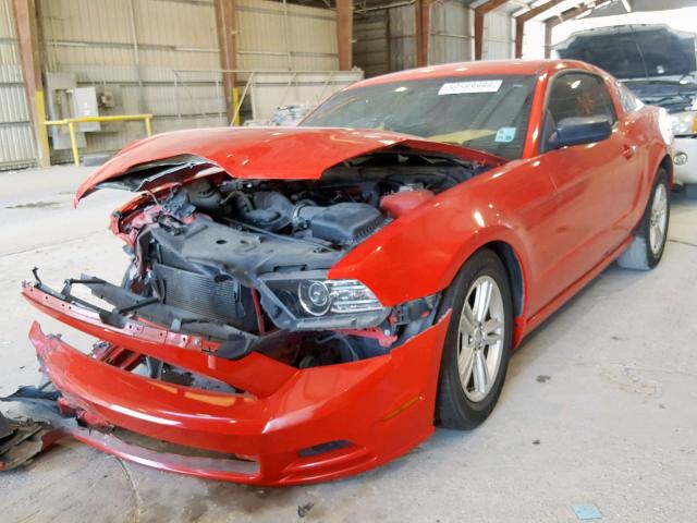 1ZVBP8AM7E5208727 - 2014 FORD MUSTANG RED photo 2