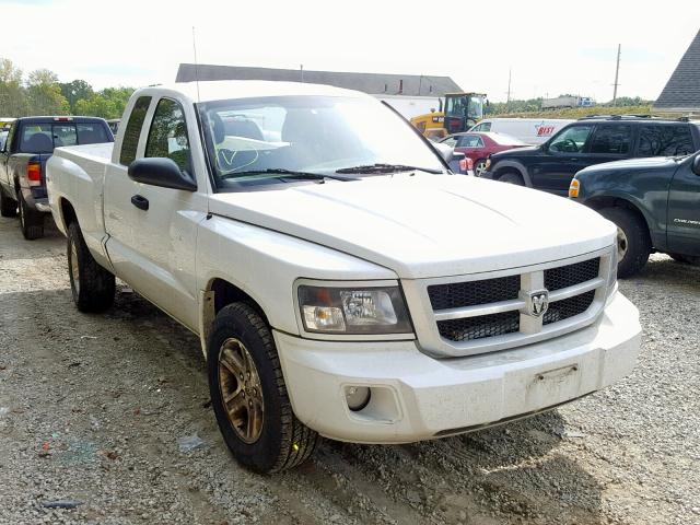 1D7RW3BK2BS691891 - 2011 DODGE DAKOTA SLT WHITE photo 1