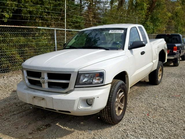 1D7RW3BK2BS691891 - 2011 DODGE DAKOTA SLT WHITE photo 2