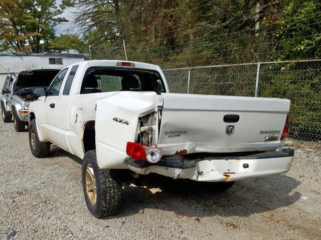 1D7RW3BK2BS691891 - 2011 DODGE DAKOTA SLT WHITE photo 3