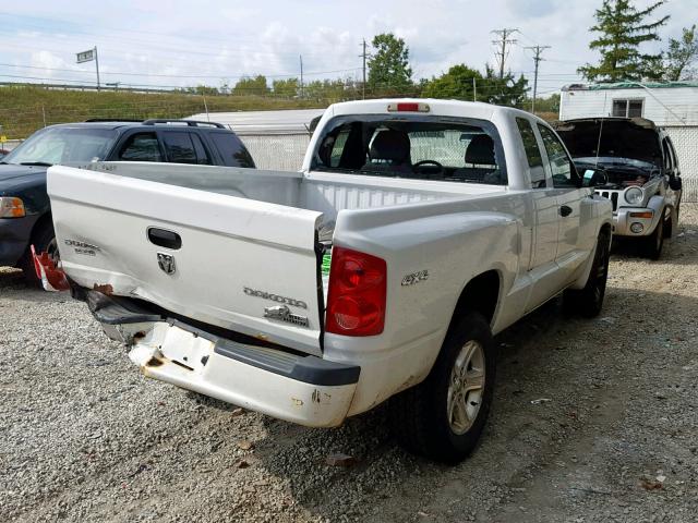 1D7RW3BK2BS691891 - 2011 DODGE DAKOTA SLT WHITE photo 4