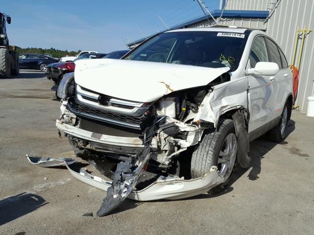 5J6RE3H70AL003681 - 2010 HONDA CR-V EXL WHITE photo 2