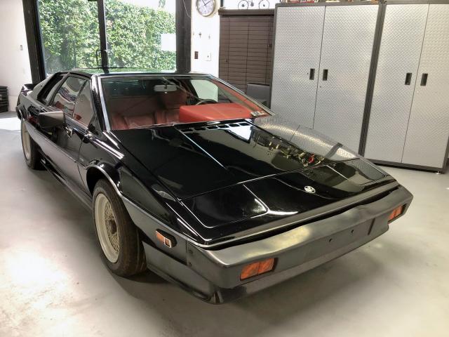 SCCFC20A5EHF60550 - 1984 LOTUS ESPRIT BLACK photo 1