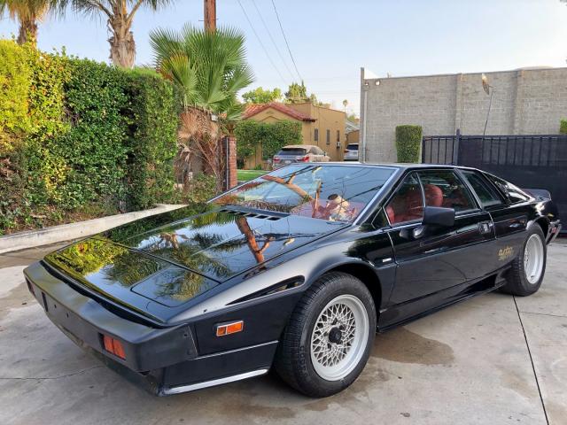 SCCFC20A5EHF60550 - 1984 LOTUS ESPRIT BLACK photo 2