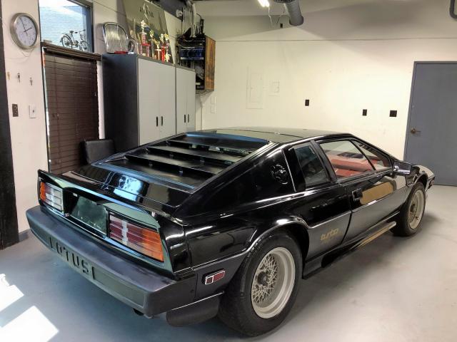 SCCFC20A5EHF60550 - 1984 LOTUS ESPRIT BLACK photo 3