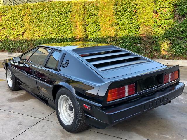 SCCFC20A5EHF60550 - 1984 LOTUS ESPRIT BLACK photo 4