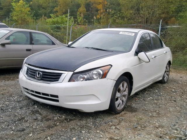 1HGCP36878A016954 - 2008 HONDA ACCORD EXL WHITE photo 2