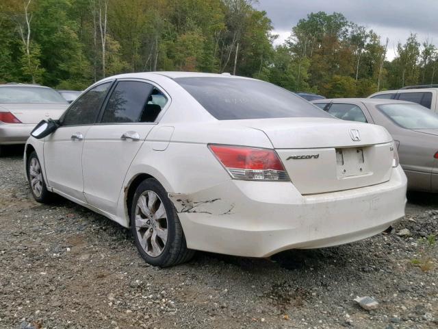 1HGCP36878A016954 - 2008 HONDA ACCORD EXL WHITE photo 3